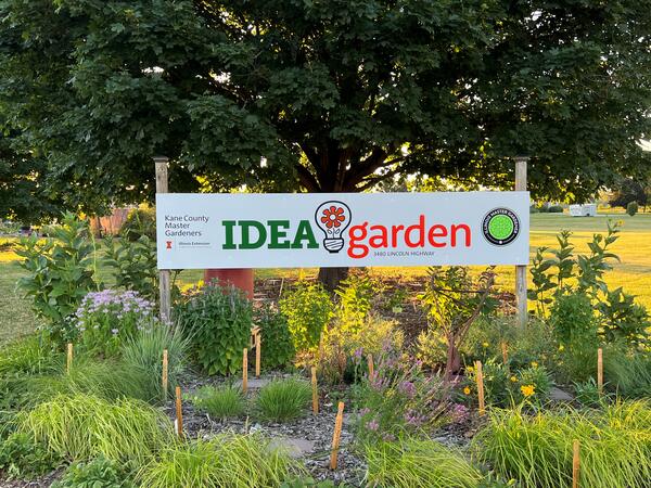 sign with plants around it; sign reads IDEA garden
