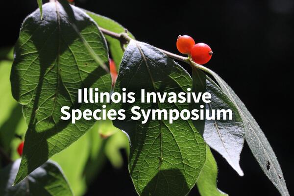 Invasive Maackii fruit plant with text overlay reading Illinois Invasive Species Symposium