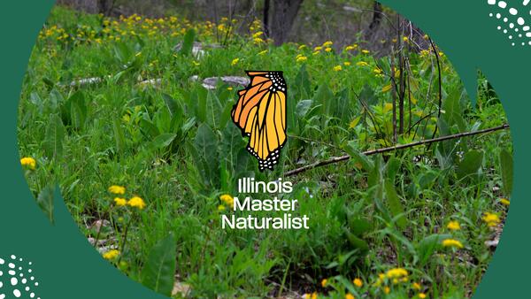 Grassy area with yellow flowers and Master Naturalist monarch logo overlay. 