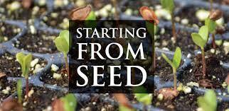 Starting Native Plants from Seed