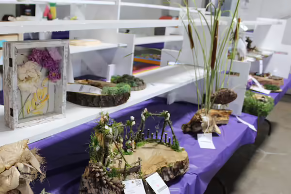shelving with art projects on them