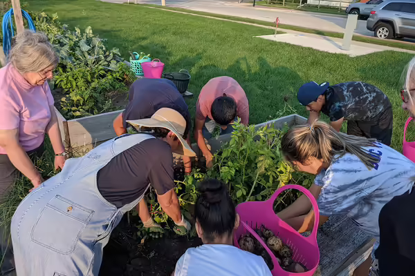 People bending and working in soil with plants