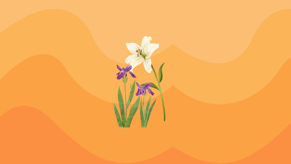 Graphic of lilies and iris