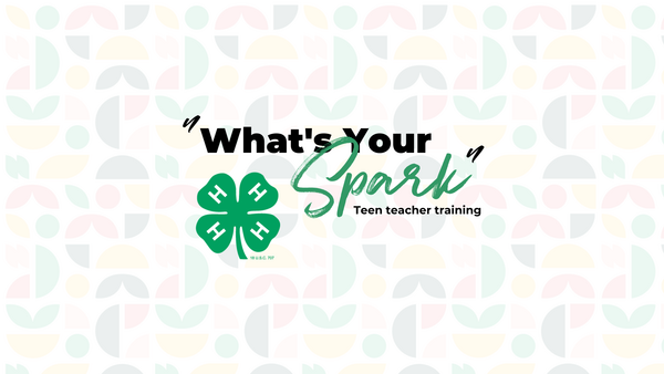 What's your spark?