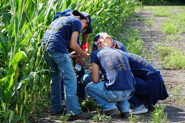 Wesclin FFA Members crowded around a field plant for identification.