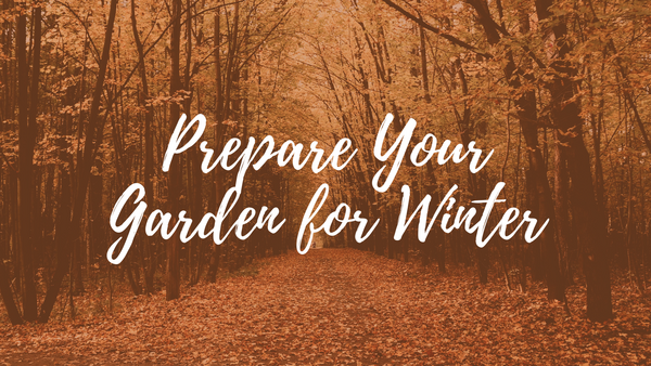 Prepare Your Garden for Winter