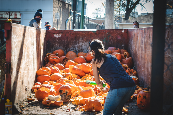 A woman with her back to the camera faces a dumpster full of pumpkins as she smashes them with a bat