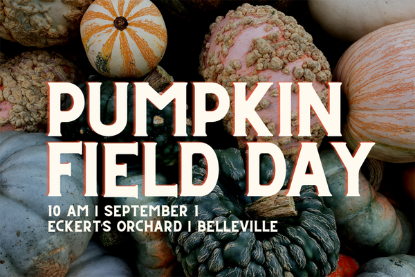 Pumpkin Field Day poster