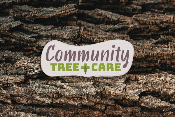 Up close on brown tree bark with text overlay reading Community Tree Care. 