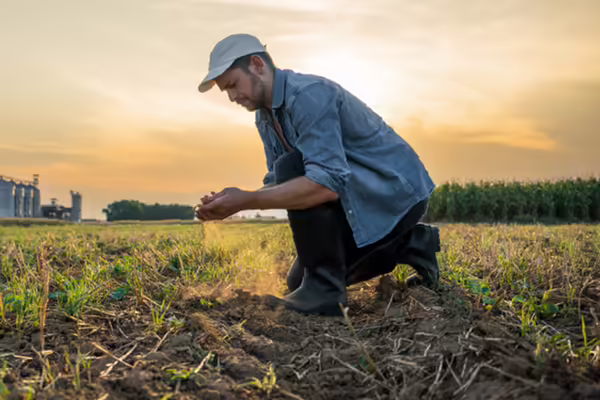 Person bent down on one knee checking soil in a no-till farm field.