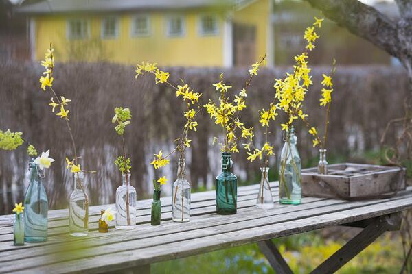 A table outside with glass vases on it with blooming forced branches