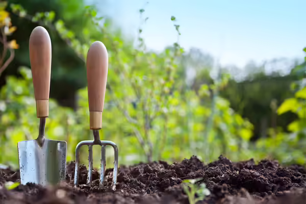 Gardening