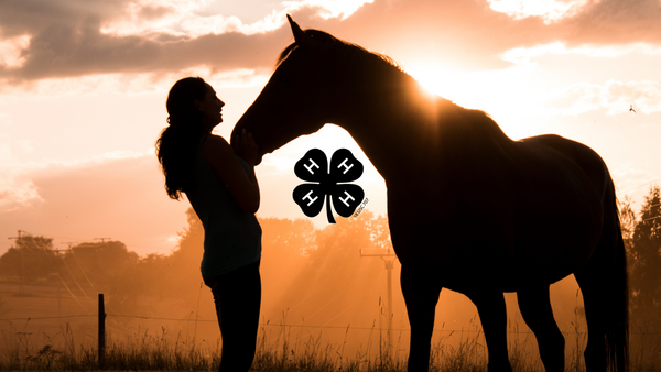 A silhouette of a horse and a girl standing in the field.