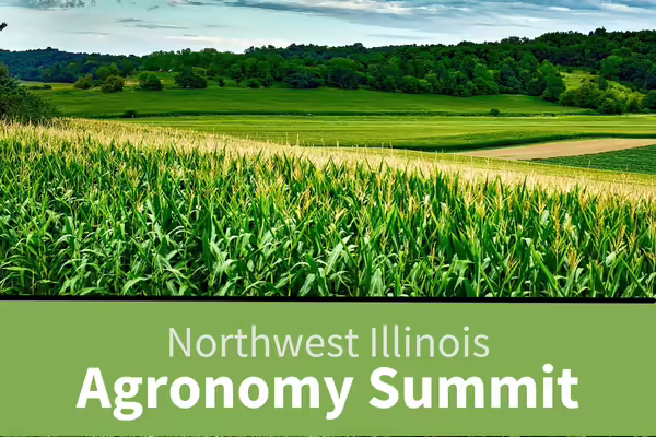 corn field in front with strip planting in background of rolling hills and some woodlands