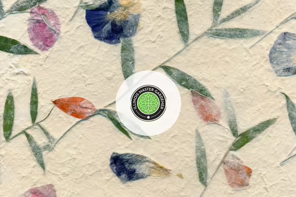 pressed flowers on a piece of paper