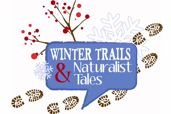 footprints, berries on stem and snowflakes