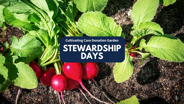 Radishes in the garden with "Cultivating Care Donation Garden Stewardship Days" text.