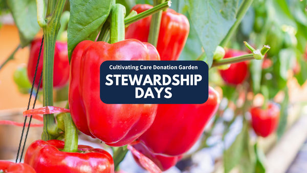 Bright red bell peppers with "Cultivating Care Donation Garden Stewardship Days" text.