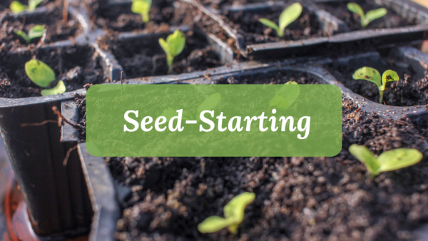 Seed-Starting