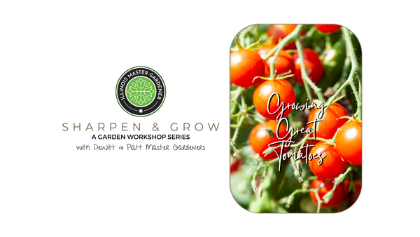 Sharpen & Grow a garden workshop, growing great tomatoes