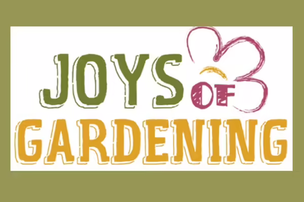 line drawing of a flower