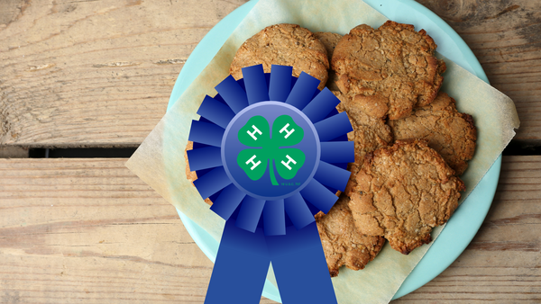 a plate of cookies behind a blue ribbon