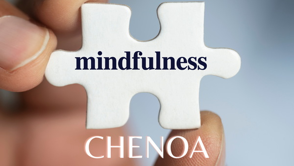 Puzzle piece with mindfulness written on it and the word Chenoa listed below