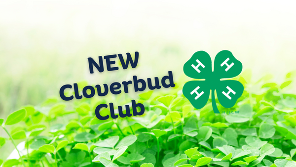 4-H clover and "NEW Cloverbud Club" in front of clovers