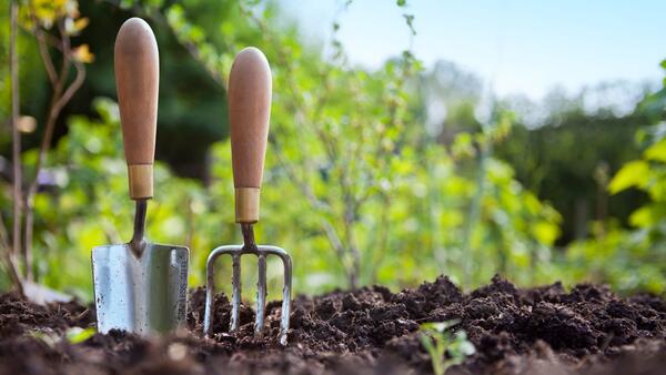 garden tools in soil
