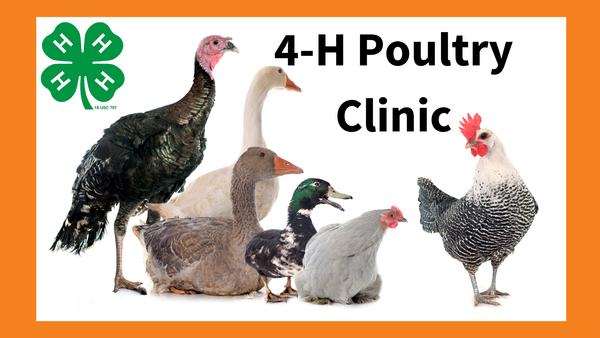 a variety of poultry on white background with orange border and 4-H clover symbol