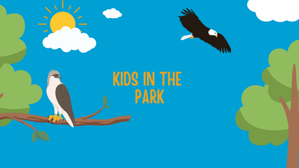 A graphic of birds of prey perched on a tree limb and flying with "Kids in the Park" text.