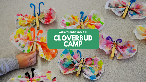 Crafts of butterflies made of painted coffee filters with "Williamson County 4-H Cloverbud Camp" text.