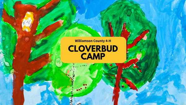 A painting of trees with "Williamson County 4-H Cloverbud Camp" text.