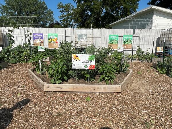 Vegetable garden with healthy eating signage displayed around it