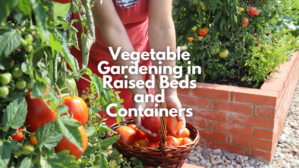 Vegetable Gardening in Raised Beds and Containers, woman with basket of tomatoes pictured