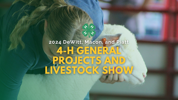 DeWitt, Macon, and Piatt 4-H General Projects and Livestock Show/ girl showing a sheep pictured