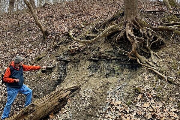 man pointing at tree roots exposed on side of hill