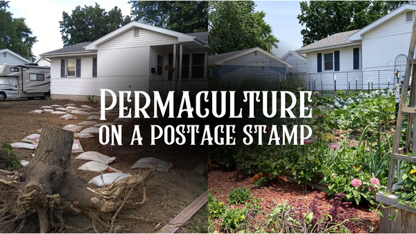Permaculture on a Postage Stamp