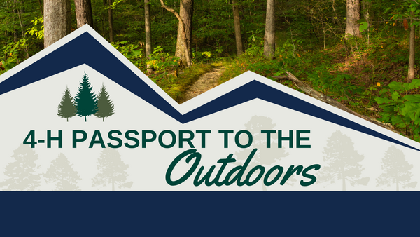 4-H Passport to the Outdoors wording over foresty background
