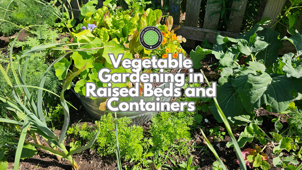 Vegetable Gardening in Raised Beds and Containers text over a vegetable garden