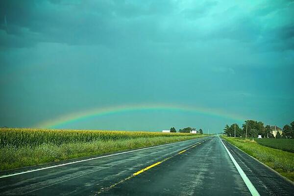 a rainbow over corn fields