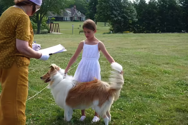 Participant with dog and judge