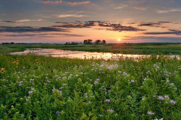 The sun setting over an Illinois prairie and lake