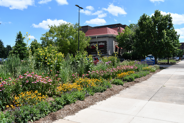 A colorful garden along a sidewalk in front of a building with a beautiful blue sky.