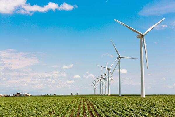 Wind farm over a field of soybeans