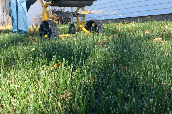 View from the ground of a person pushing a lawn spreader putting on fertilizer.