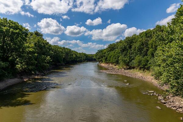 A wide slow river bordered by trees