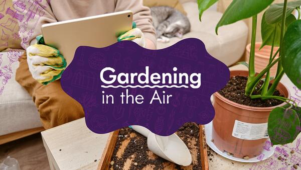 A person sitting on the couch, looking for information on a tablet, all while potting a houseplant indoors.