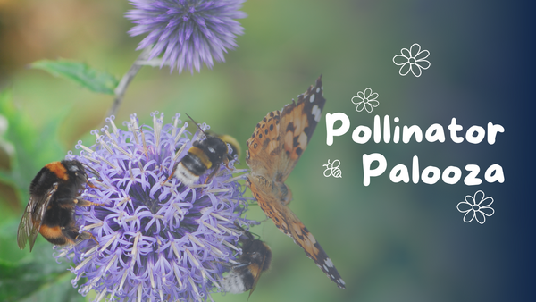 purple flower with bees and a butterfly on it collecting pollen