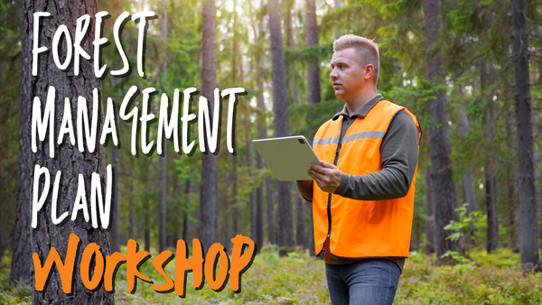 man wearing safety vest holding ipad, looking at a tree trunk in a forest